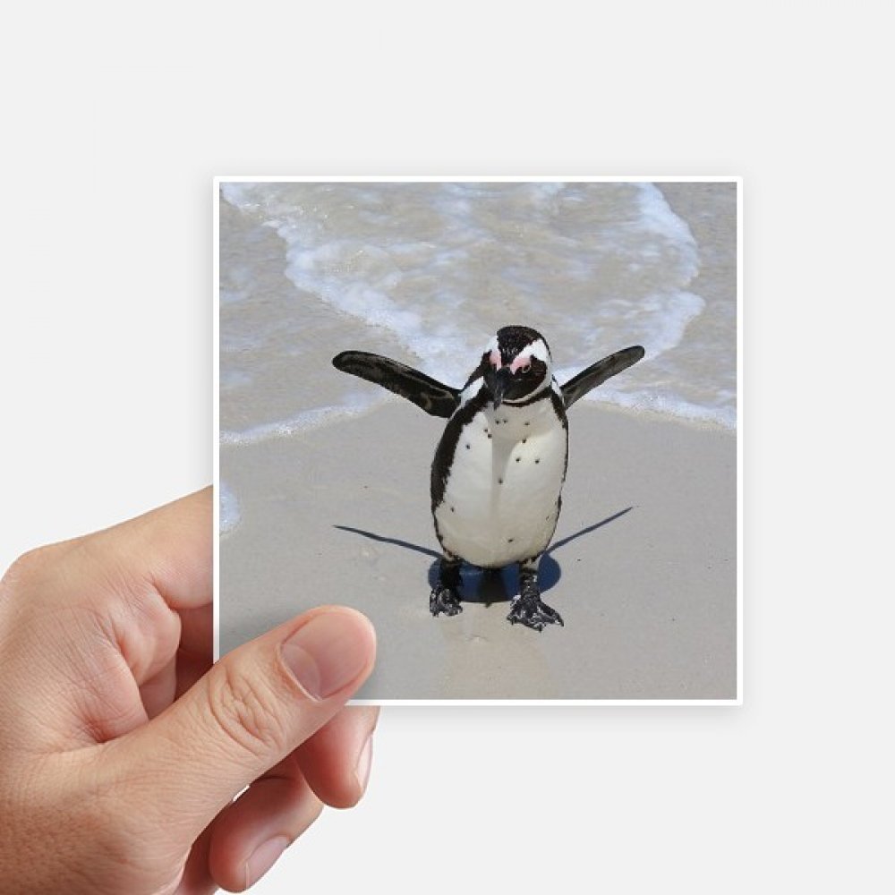 Autocollant pingouin antarctique carré multicolore 10cm lot de 8