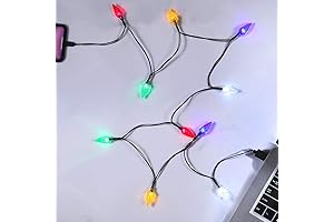 Christmas Light Display Charging Cable