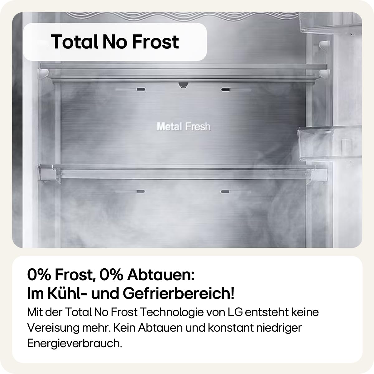 LG GSM32HSBEH Side-by-Side Kühlschrank 562 L Energieklasse E Total No Frost Silber