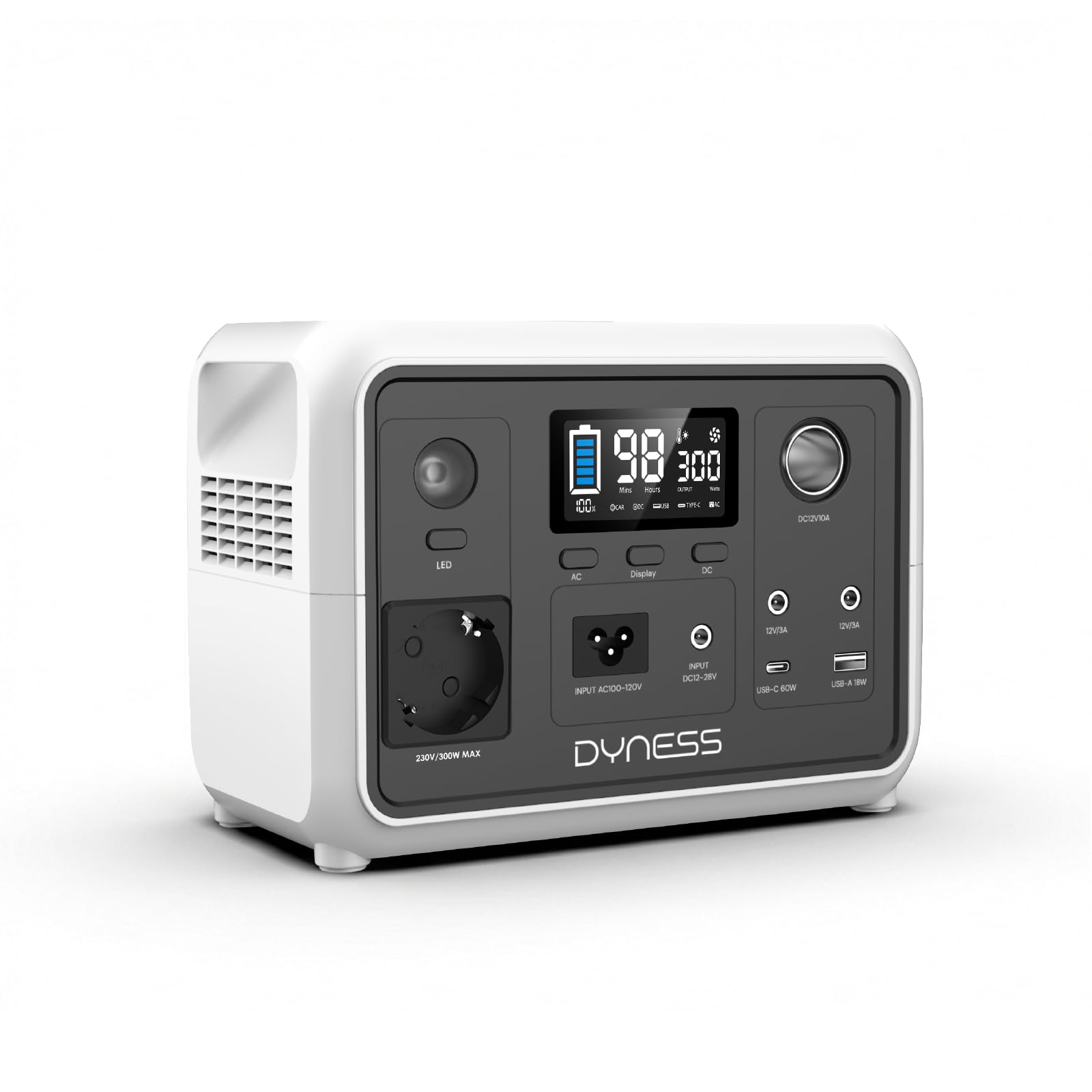 Dyness 300W Tragbares Powerstation, 256Wh AC-Steckdose LiFePO4 Batterie Solargenerator mit 6 Ausgängen & 4 Ladeoptionen, Notstrom für Camping, Wohnmobil, Reisen & Notfall