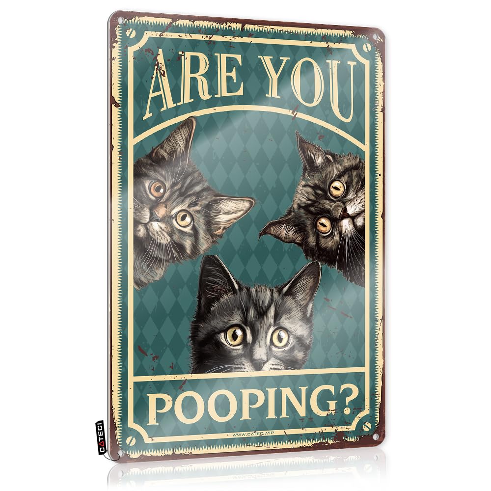 Tin Signs For Man Cave Are You Pooping Tin Sign Mystical Decorearthy Wall Decorkitchen Decor And Accessoriesoffice For Women Desk Home Bar Tin Sign Bar Mirrors For Man Cave(30X40CM)