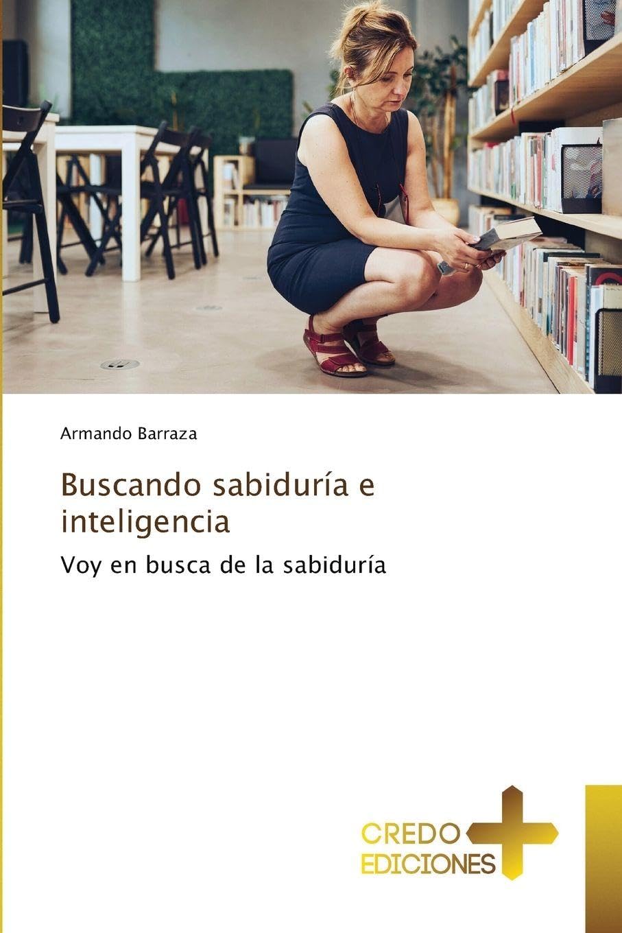 Buscando sabiduría e inteligencia: Voy en busca de la sabiduría