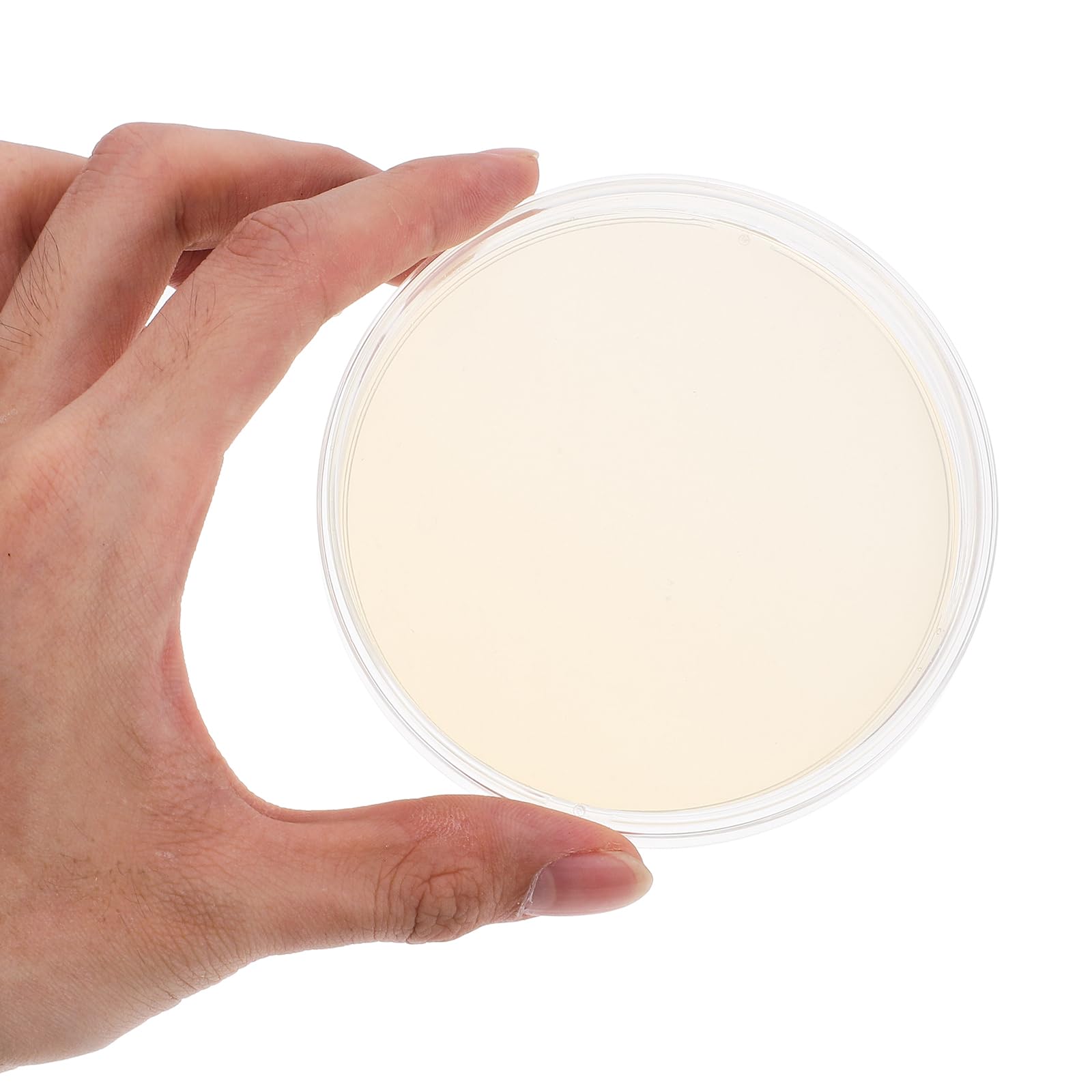 UKCOCO Placas De Agar Desechables Envasado Al Vacío 3.54X3.54X0.59In Medios De Cultivo Para Proyectos Científicos Y Laboratorios - 10 Unidades