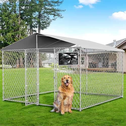 1 Stück AchtungHund Schild Videoüberwachung - Warnschild für Privatgrundstück, Zaun, Wand, Tür - Kamera Schild Überwachung mit Hund Warnung aus Aluminium, 30x20cm, Vorgebohrte Löcher
