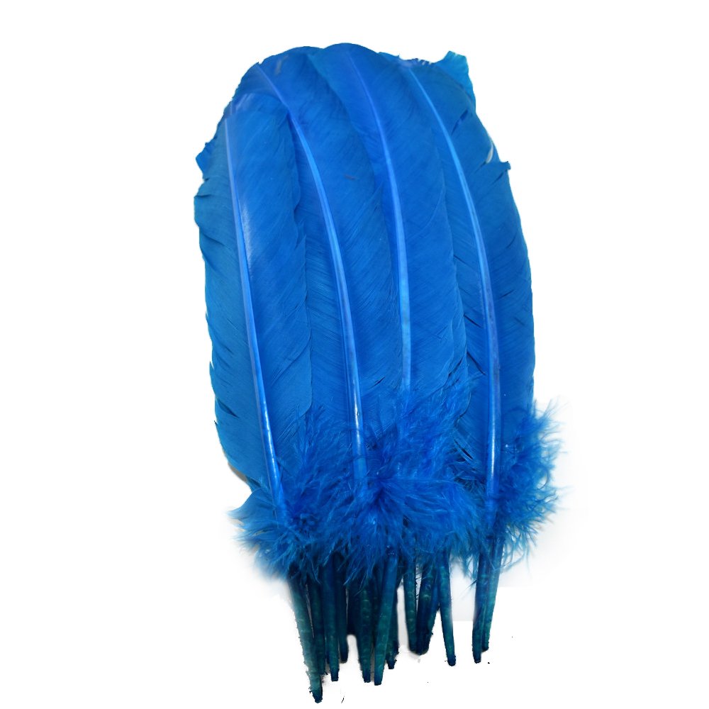 Everyshine 120 Pcs Turkey Quill Feathers 10-12 inches Blue