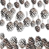Pine Cones Holiday Ornaments - Set of 36-1 1/2" L - White-Tipped Painted Christmas Pinecone Ornaments with Strings