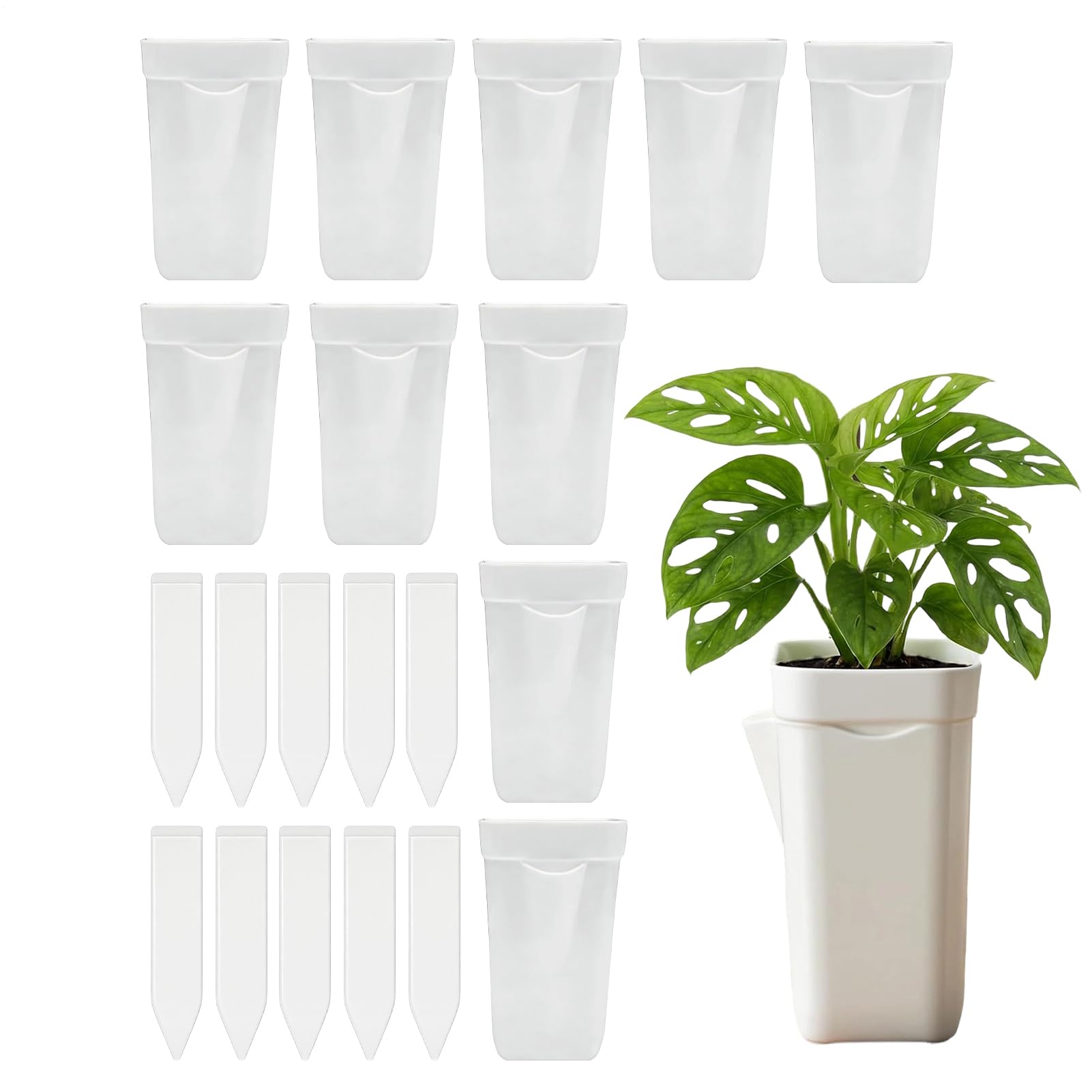 Pots de pépinière avec drainage et visibilité du niveau d'eau pour boutures de violette x10