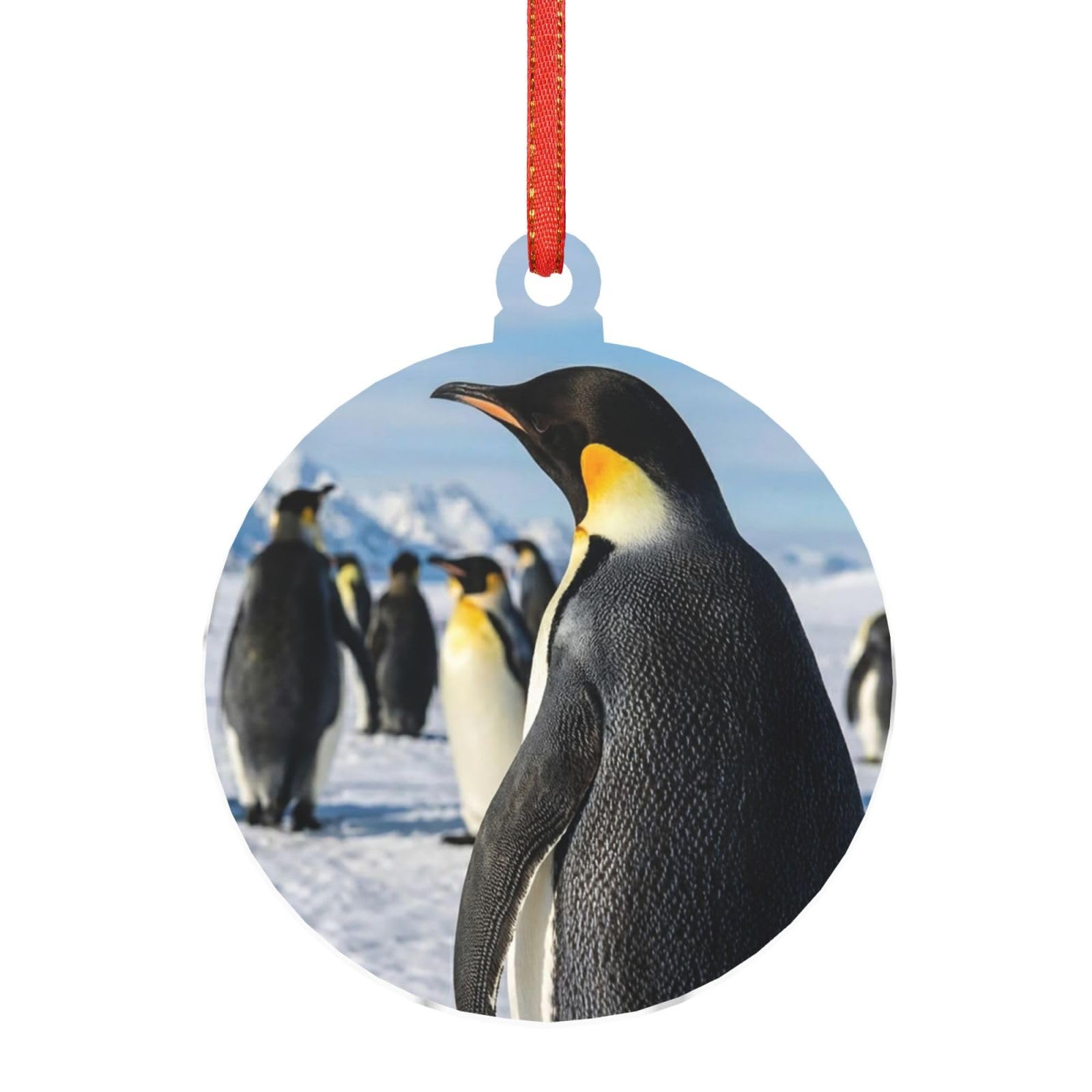 Hjkjkkj Round Shape Acrylic Ornament Christmas Tree Decoration Clear Round Pendant With Red Ribbon Penguins Christmas Ornaments Indoor Outdoor Hanging Acrylic Pendants For Xmas Party Decor