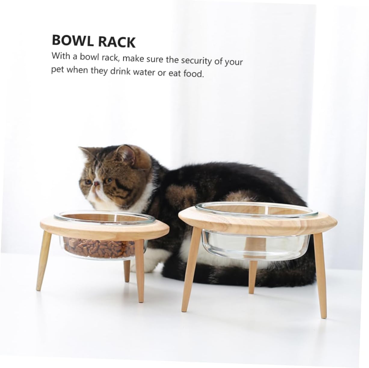 Glass Pet Bowl Pet Feeder Dog Cat Dish and Easy-Clean Detachable Tripod for Travel