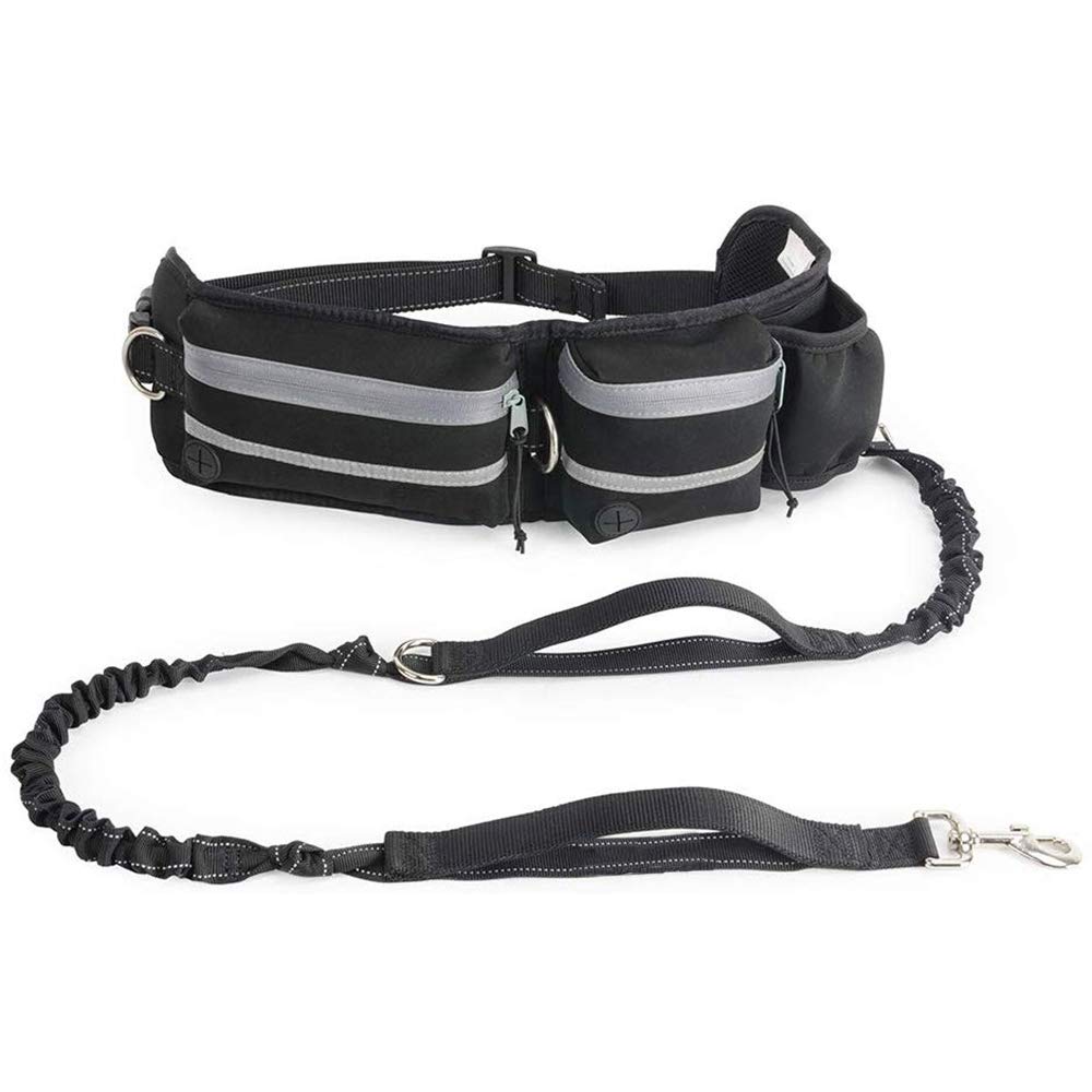 Laisse mains libres contre les tractions de chien avec sangle élastique et poche téléphone