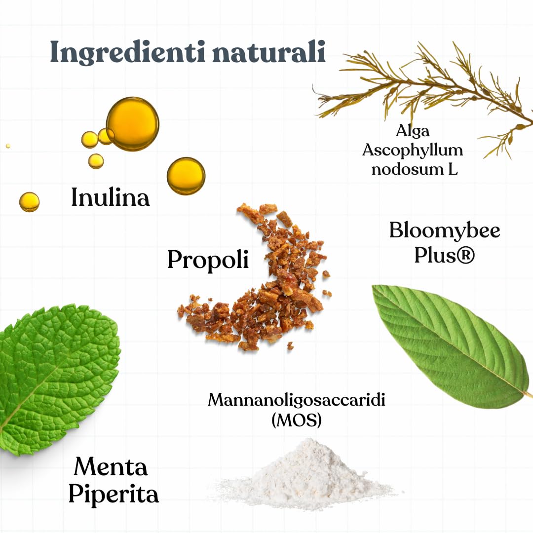 Bau Controllo Placca e Tartaro Cane in Polvere con Alga Ascophyllum Nodosum, Propoli e Menta, Mangime Complementare per Igiene Orale Senza Spazzolino, Alito Fresco e Gengive Sane del Cane