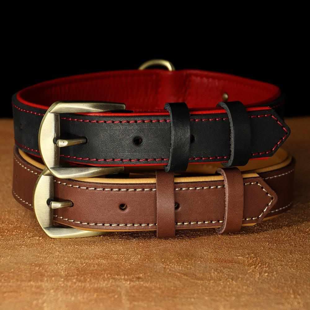 Exklusives Leder Hundehalsband mit großer Gravurplatte und gratis Gravur von Name und Telefon, für mittlere und große Hunde Schwarz/L 43-55cm
