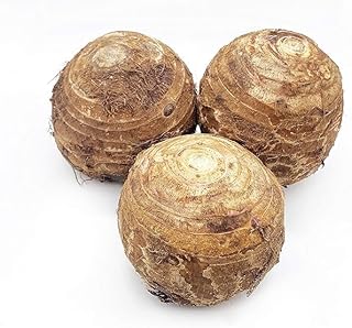 Fresh Taro Root, 4 Pounds