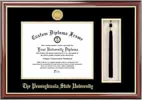 【専用】diploma様 Customized Diploma Frames Penn State University Spirit