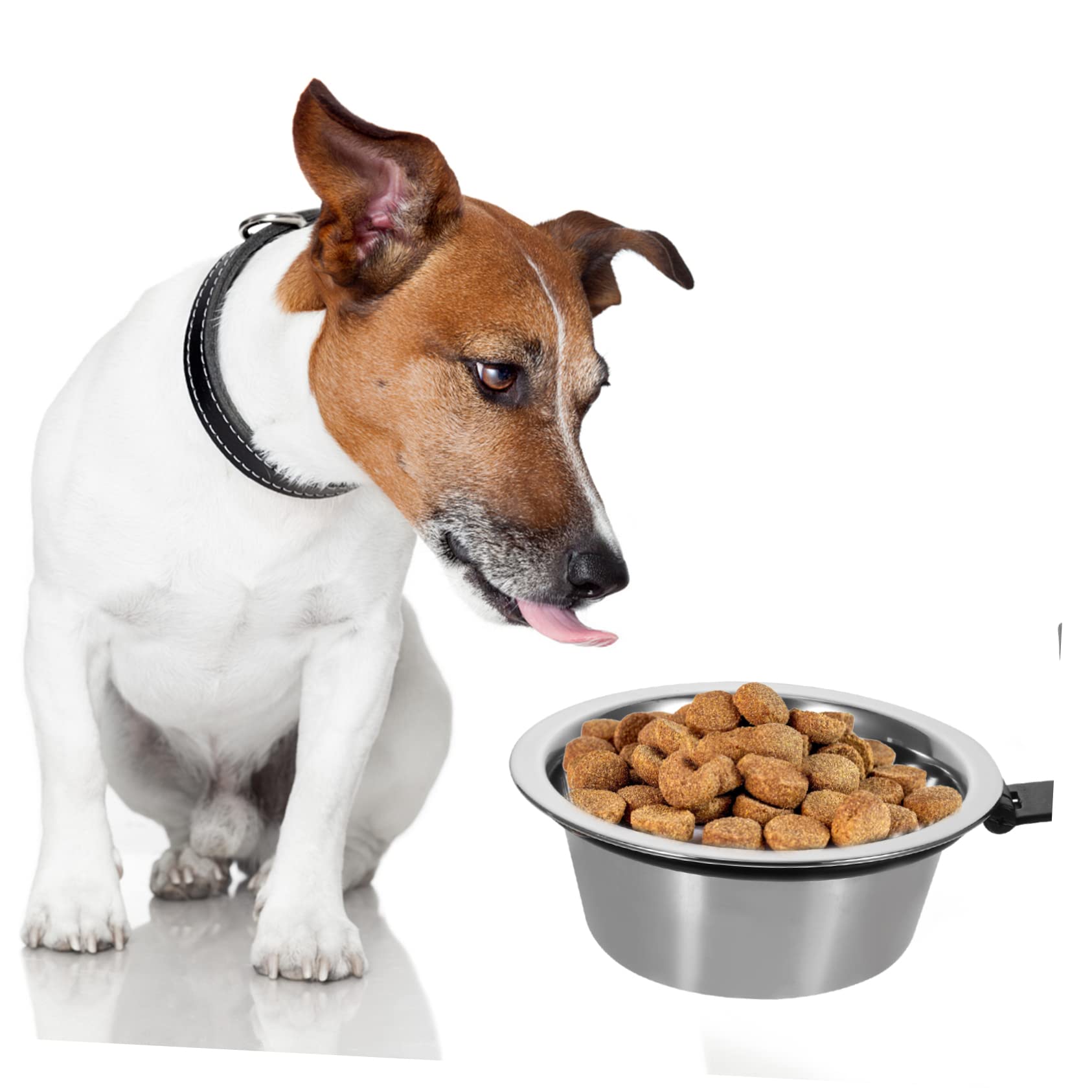 Milisten Cat Dog Feeding Bowl Wall-Mounted Elevated Dog Bowl for Pet's Health and Safety