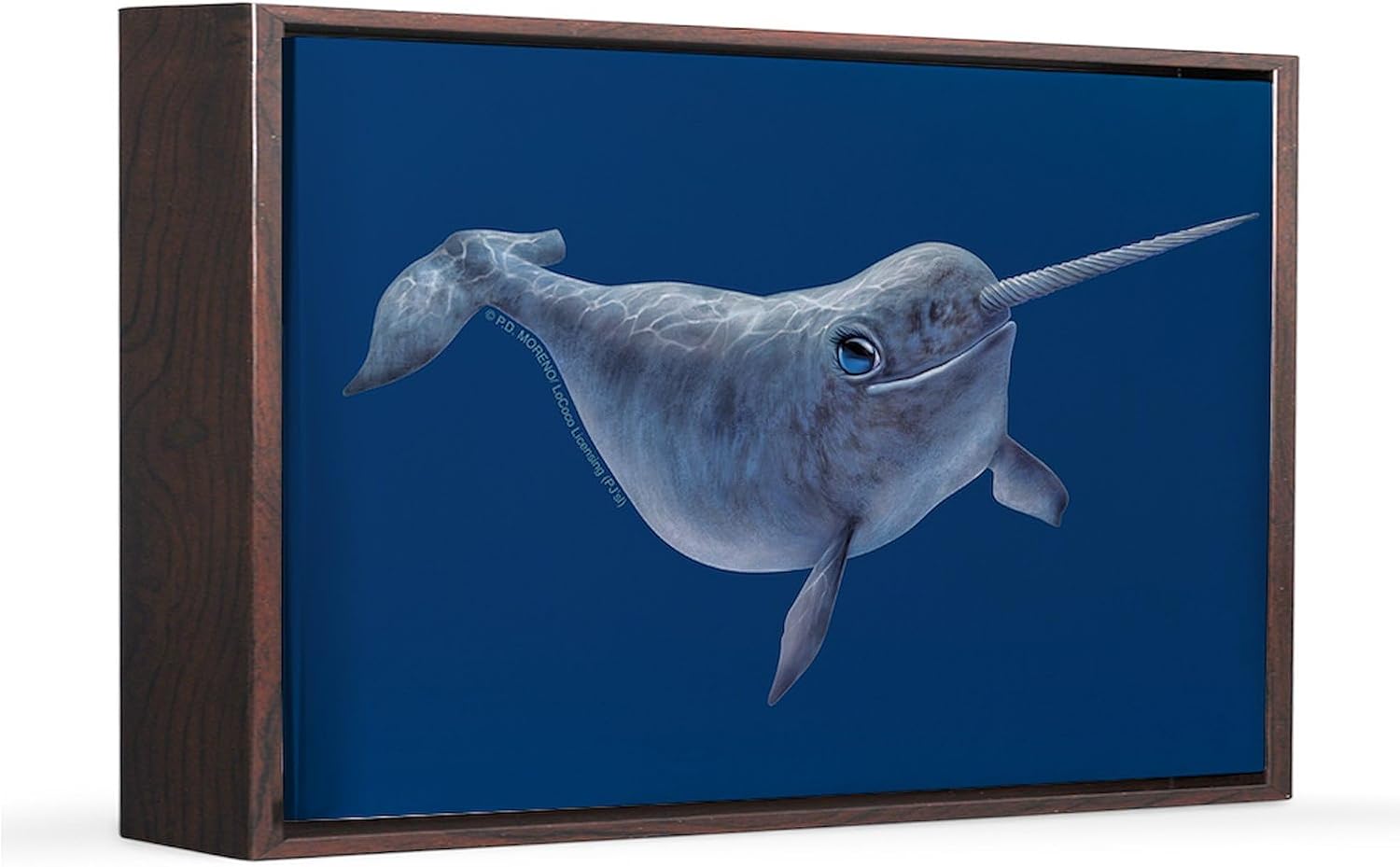 CafePress PD Moreno's Narwhal 20x30 Canvas Print