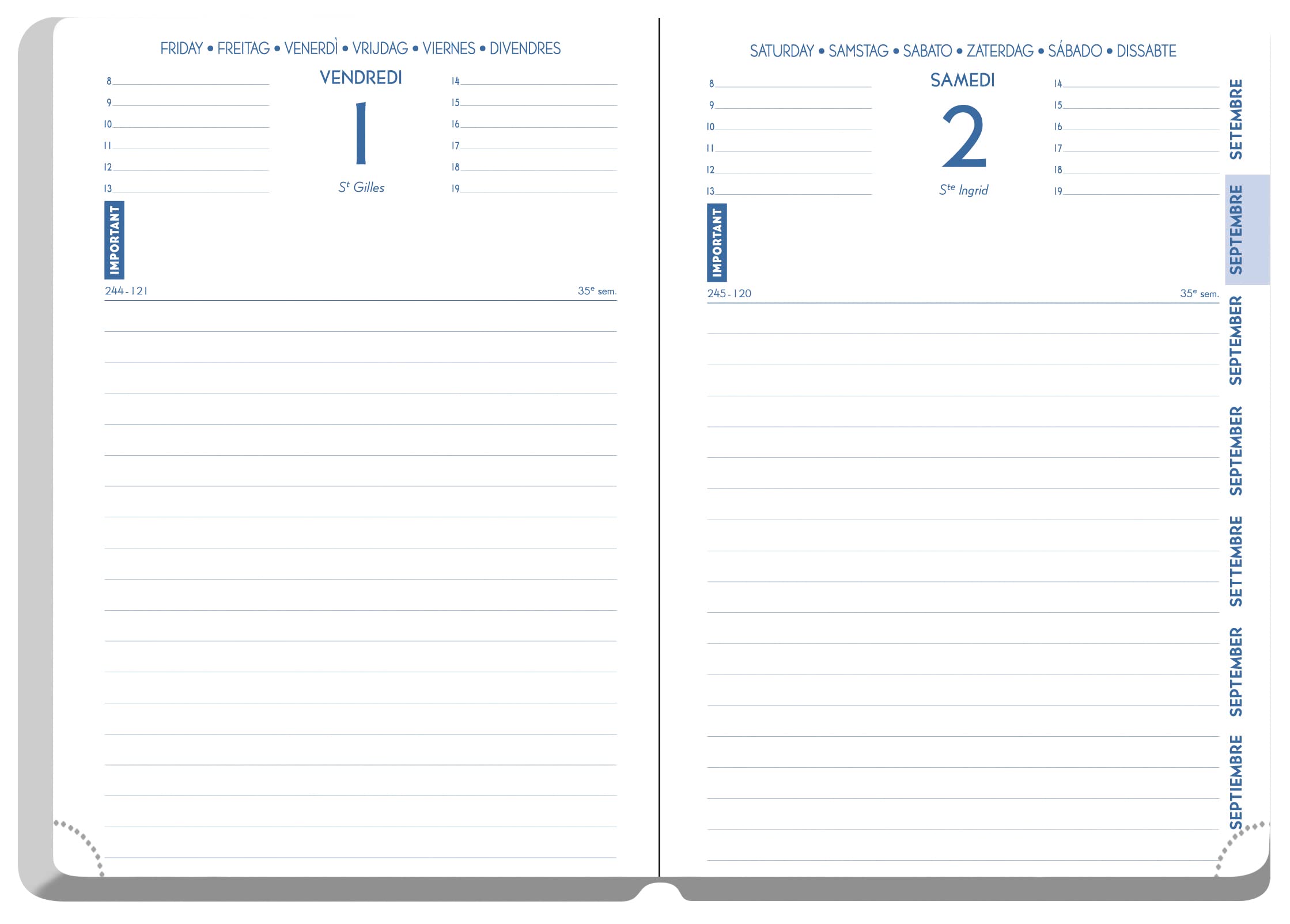 Exacompta Agenda Forum Office Winner 15 x 21 cm Journalier Août 2026 à juillet 2027 Bleu