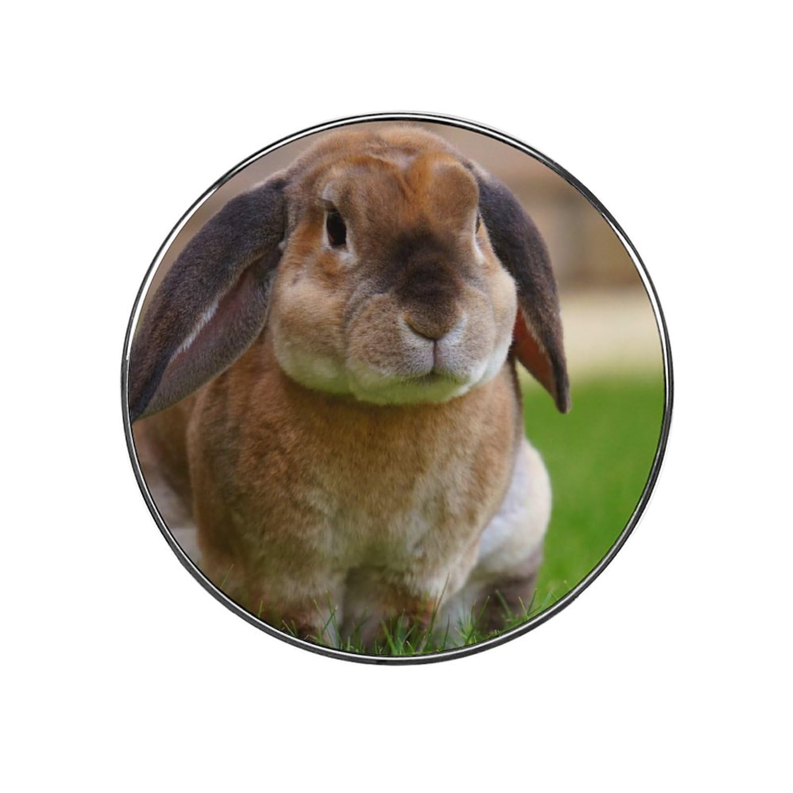 Bunny Magnets For Fridge Kitchen Decoration For Refrigerators Whiteboards