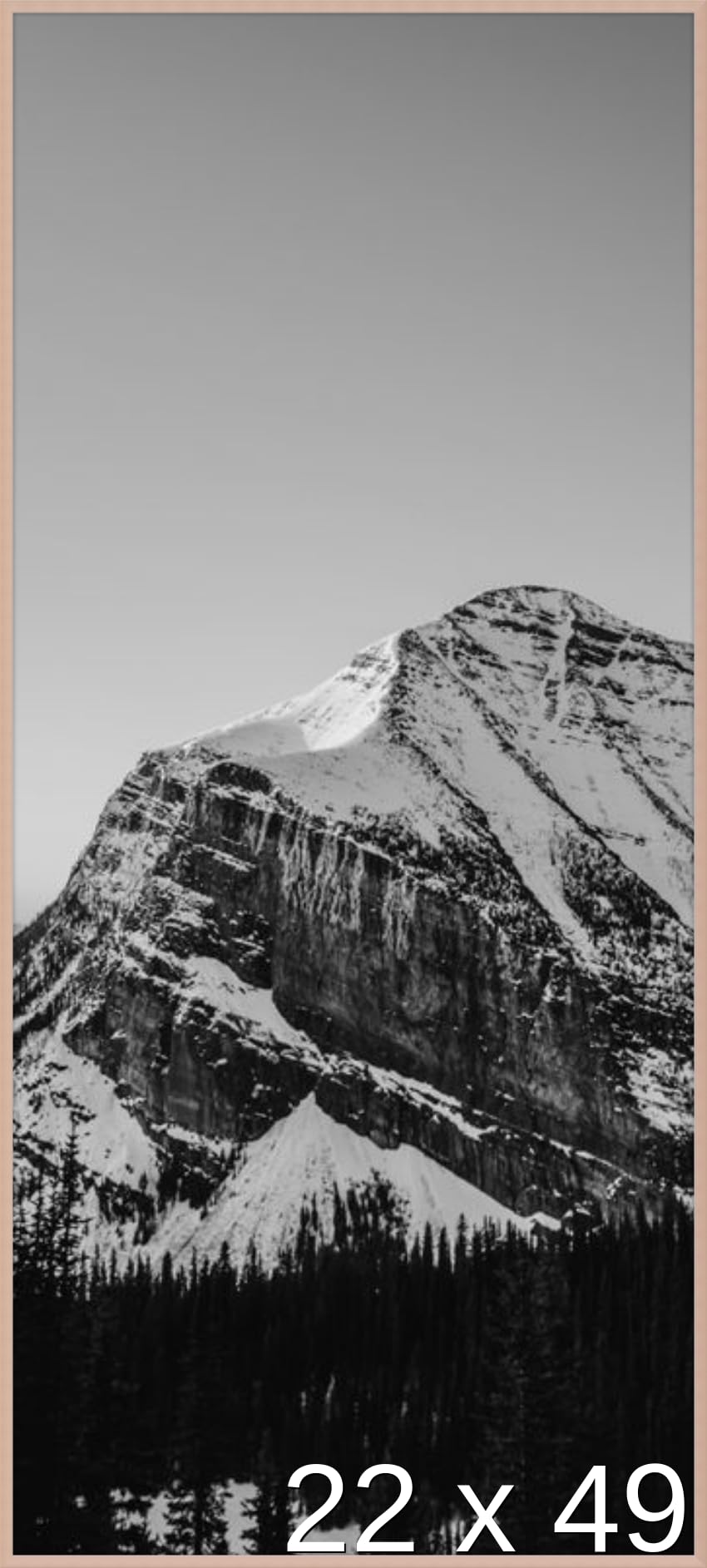 Frame It Easy 22 x 49 Rose Gold Metal Frame (Ashford)