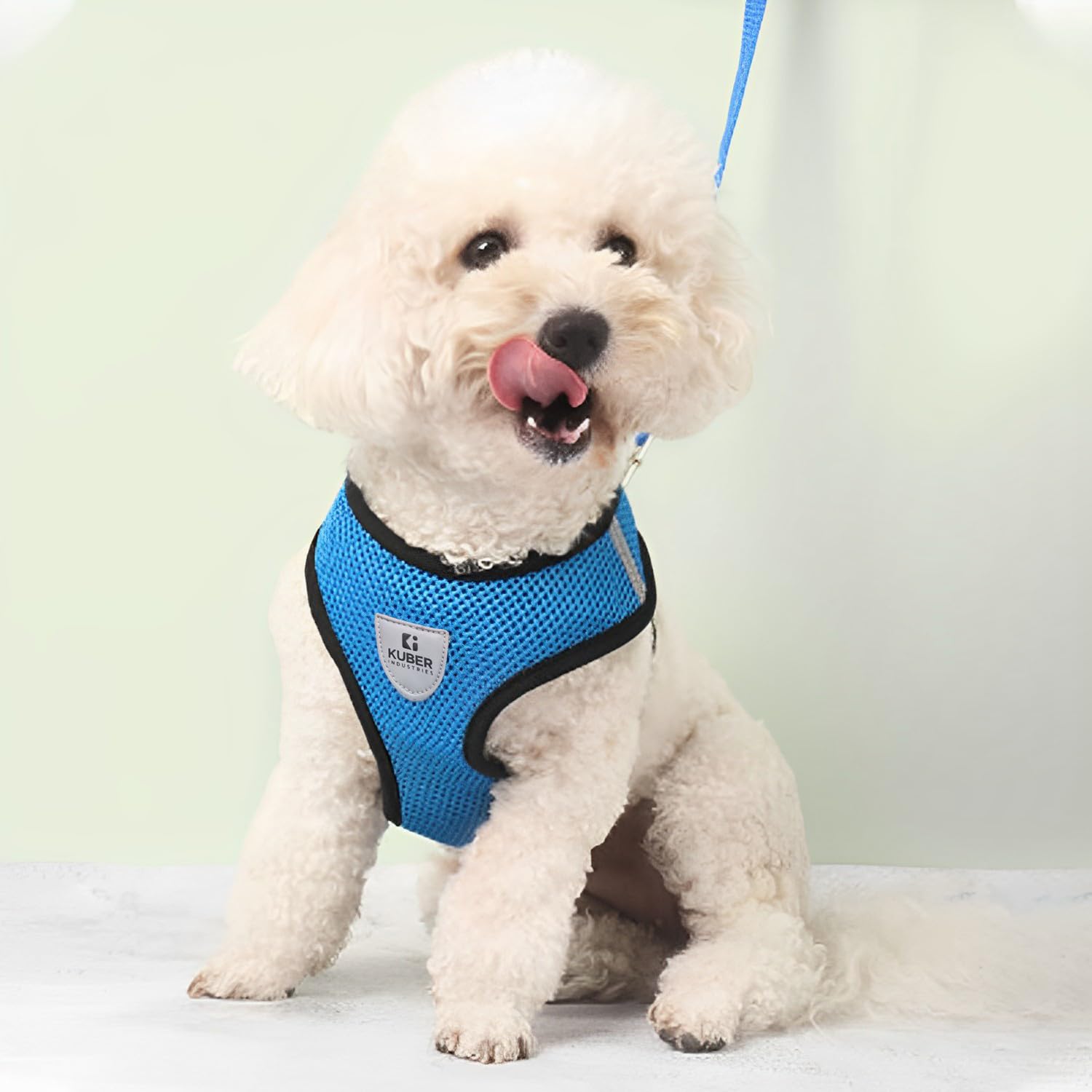 Kuber Industries Dog Harness with Adjustable Leash | Breathable Polyester Mesh | Small Size| Comfortable No-Pull Grip | Quick Release Buckles | Blue Pet Walking Set | Secure and Stylish Dog Harness (B0CJ59QXXZ) Amazon Price History, Amazon Price Tracker