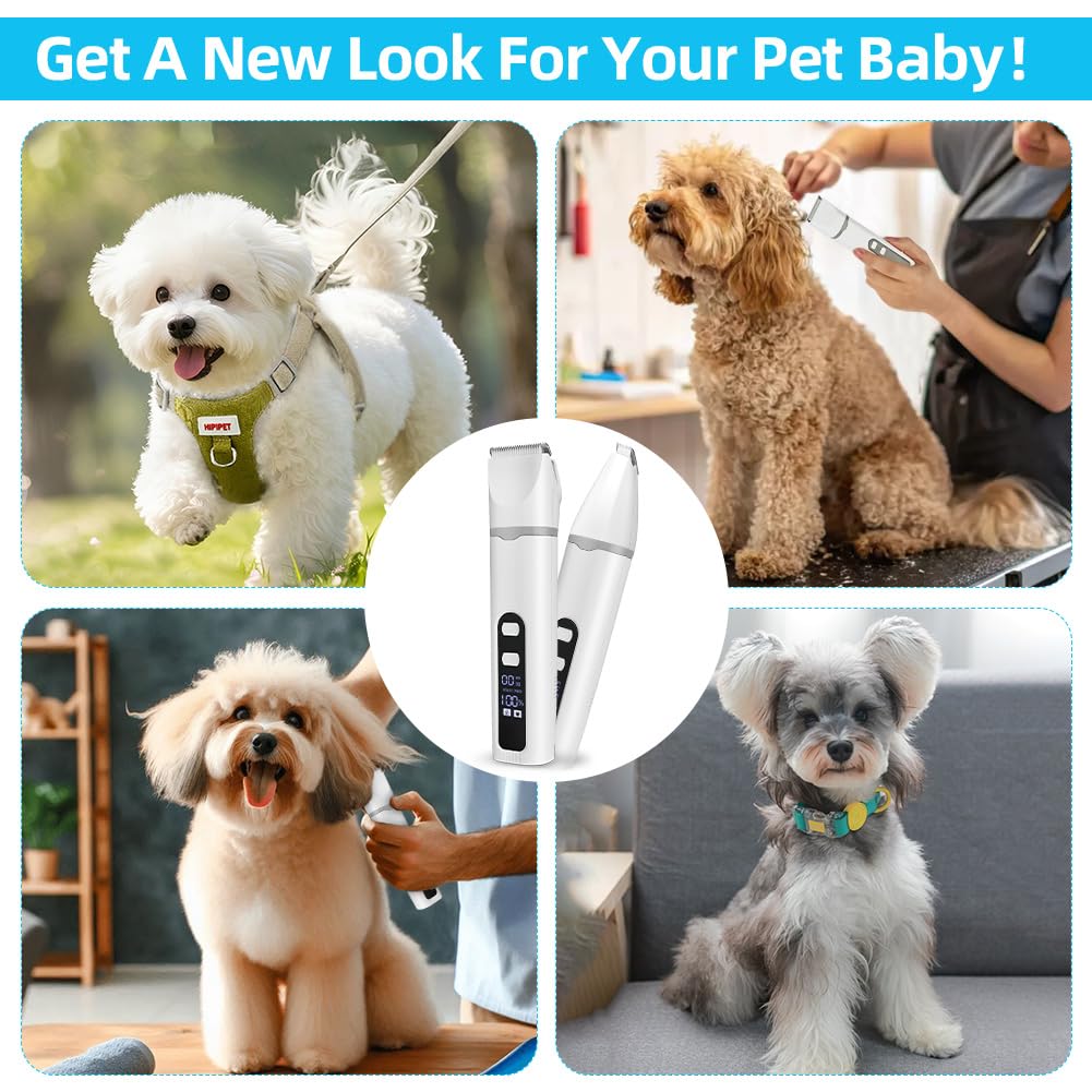 4 en 1 Tondeuse Chat Chien Set, Tondeuse silencieuse pour chat,USB-C,Tondeuses Professionnel Silencieux écran LCD pour Chats Chiens à Poils de Pattes Fesses et Poils Noués