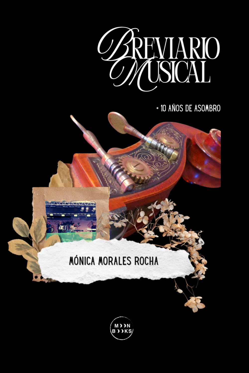 Breviario musical: +10 años de asombro
