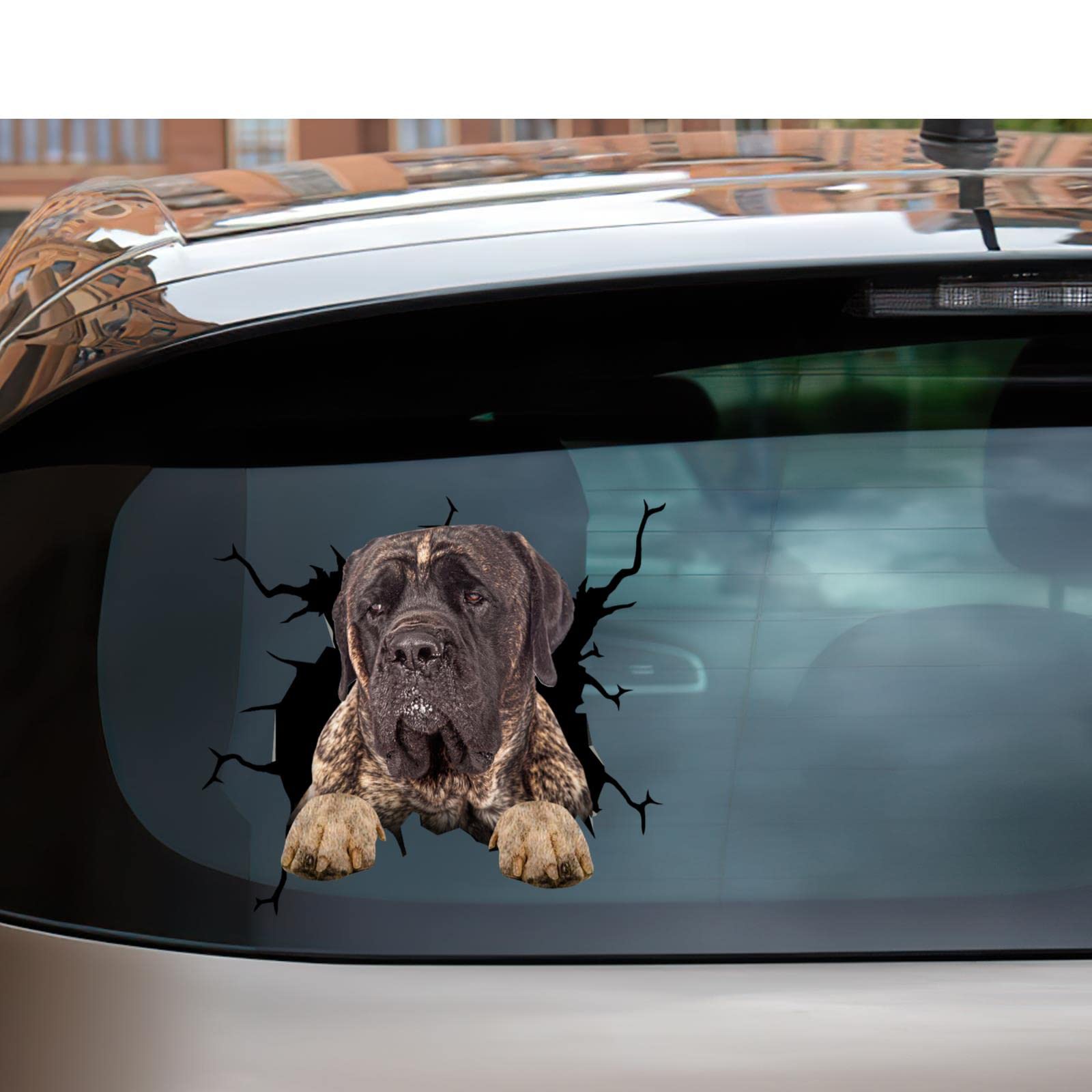 Cane Corso Adesivo Auto &rArr; Confronta Prezzi E Offerte