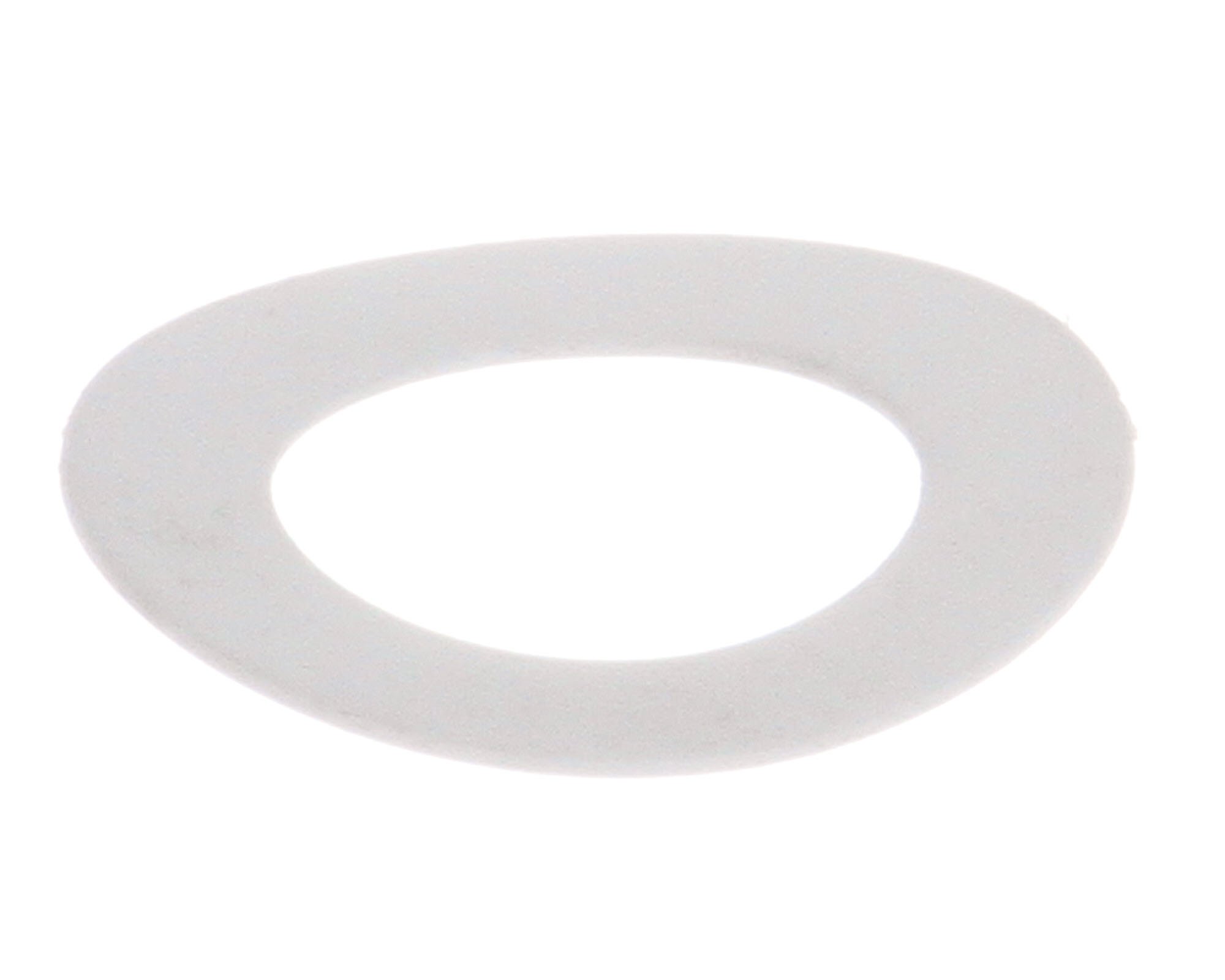 PTFE Washer