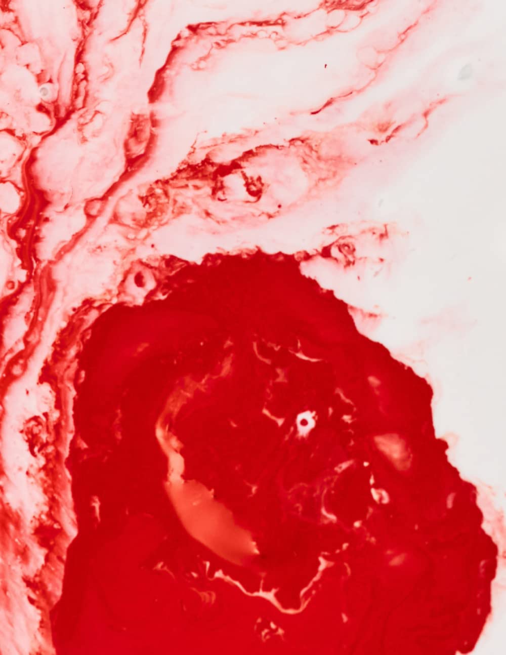 Bloody Cover Journal
