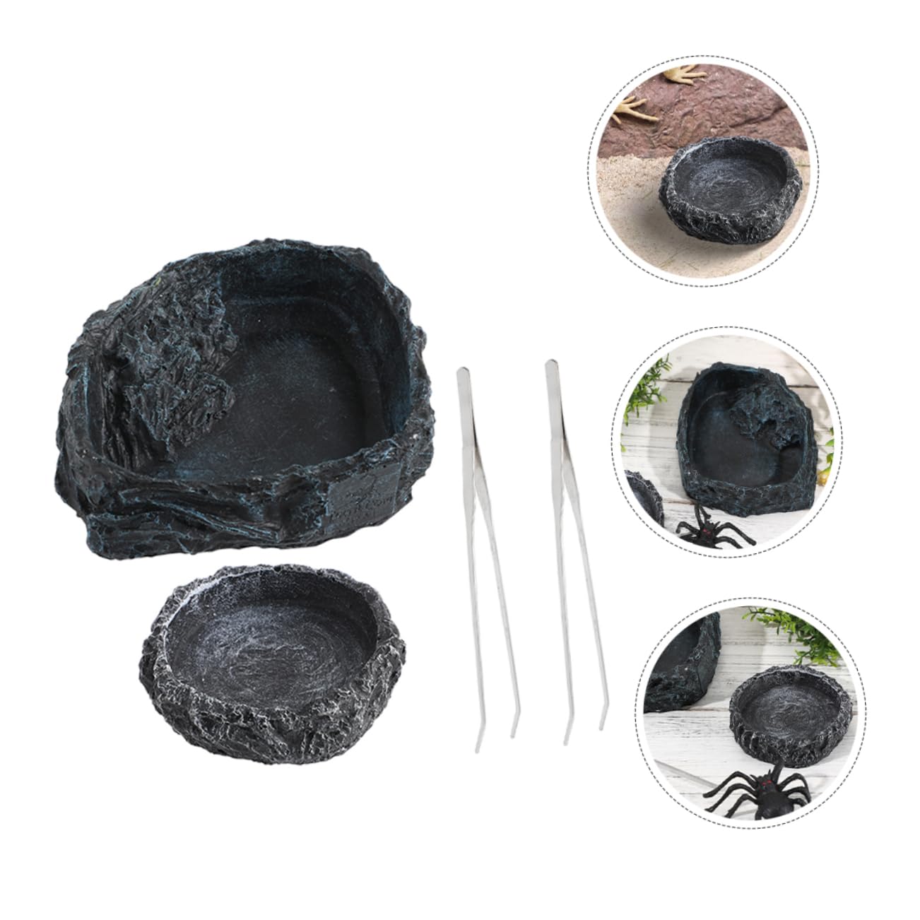 GLEAVI 1 Set Ciotola per Cibo Rettili con Pinzette Completo per Drago Barbuto e Tartarughe Accessorio Versatile per Terrari