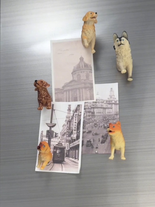Imanes Decorativos en Forma de Perro Set 8 Piezas miniatura 7