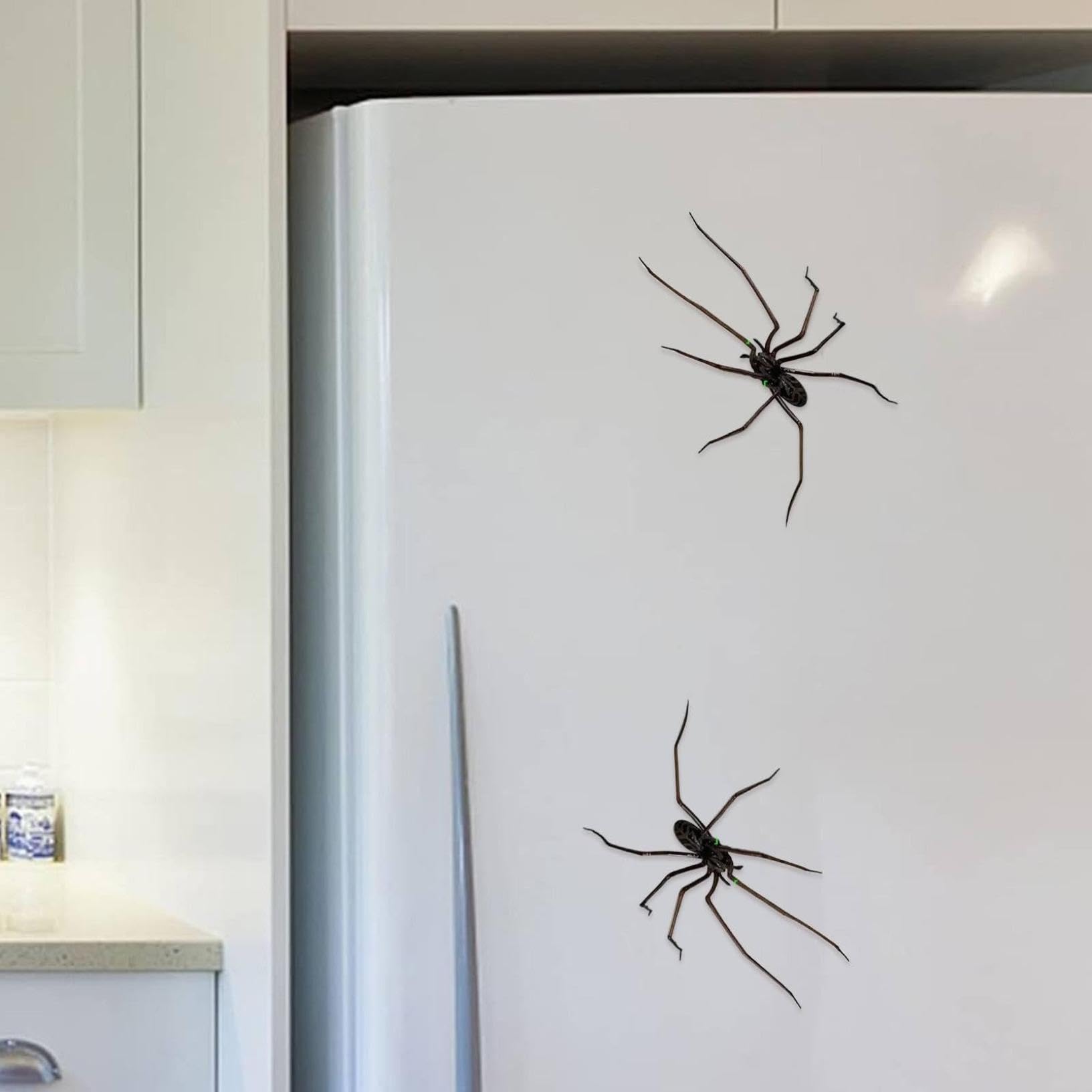 3D Spider Fridge Magnets, Realistic Spider Magnets, Cute Spider Designs, Decorations for Fridge, Removable Indoor Outdoor Magnet (3)