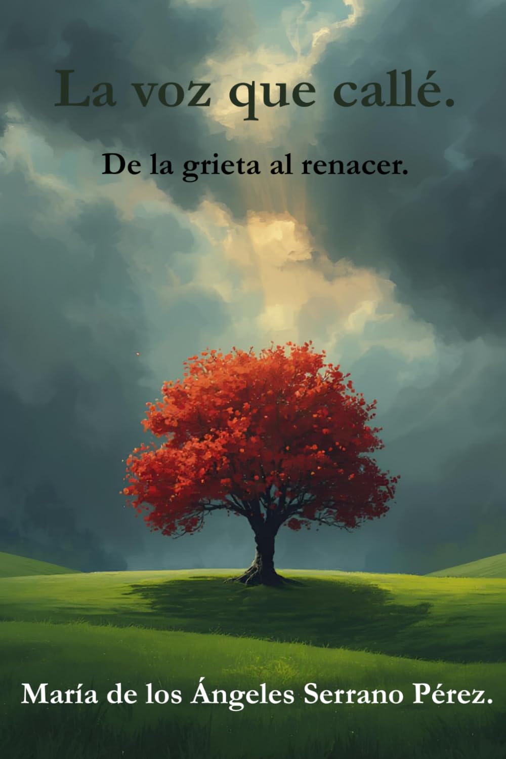 La voz que callé: De la grieta al renacer