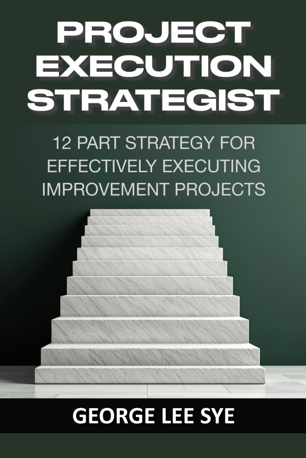Project Execution Strategist: 12 Part Strategy for Effectively Executing Improvement Projects (Business Improvement Leadership)