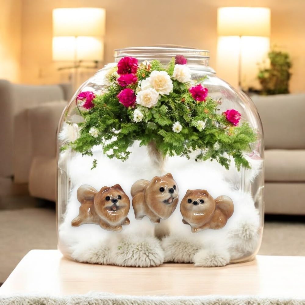 Amazon.com: WitnyStore ½ Inch Brown Crouch Pomeranian Dwarf Spitz Amazon.com: WitnyStore ½ Inch Brown Crouch Pomeranian Dwarf Spitz
