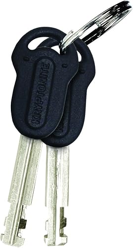 Miniatura 3 de 'Kryptonite KryptoLok Series 2 discos Lock