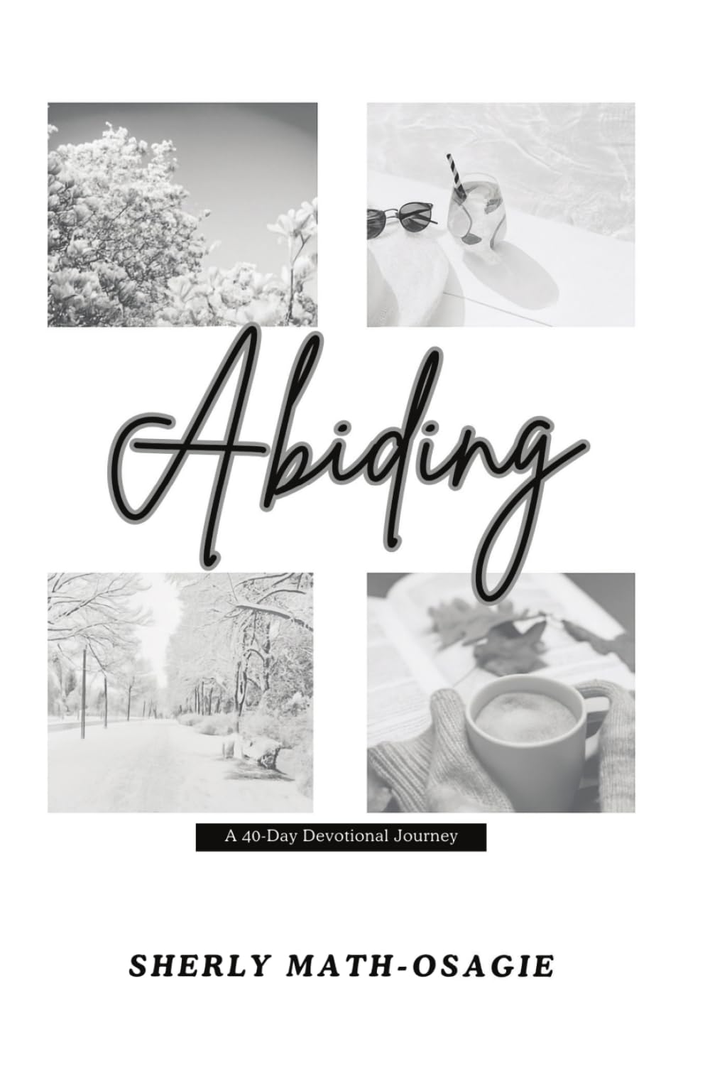 Abiding: A 40 - Day Devotional Journal (The Abiding Devotional)