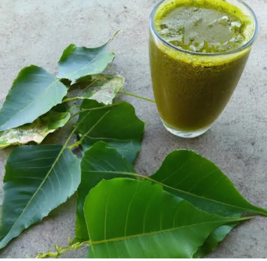 Srihari peepal leaf juice best for kidney health 900ml Preservatives free juice