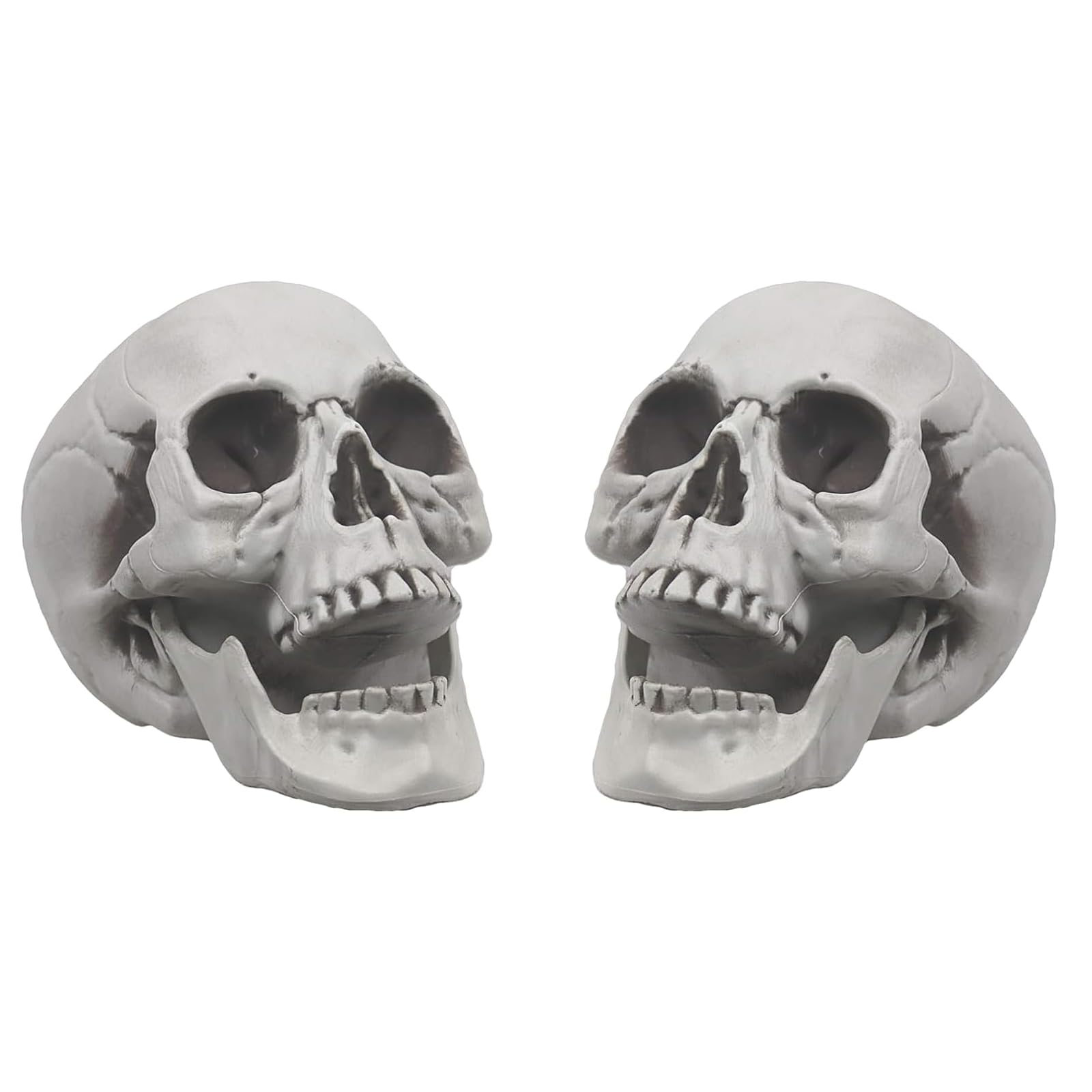 Sponsored Ad – Halloween Skeleton Decorations - Lifesize Human Skull Props for Graveyard, Outdoor, Bar, Party, Home Decor and Haunted House (M-2pcs)