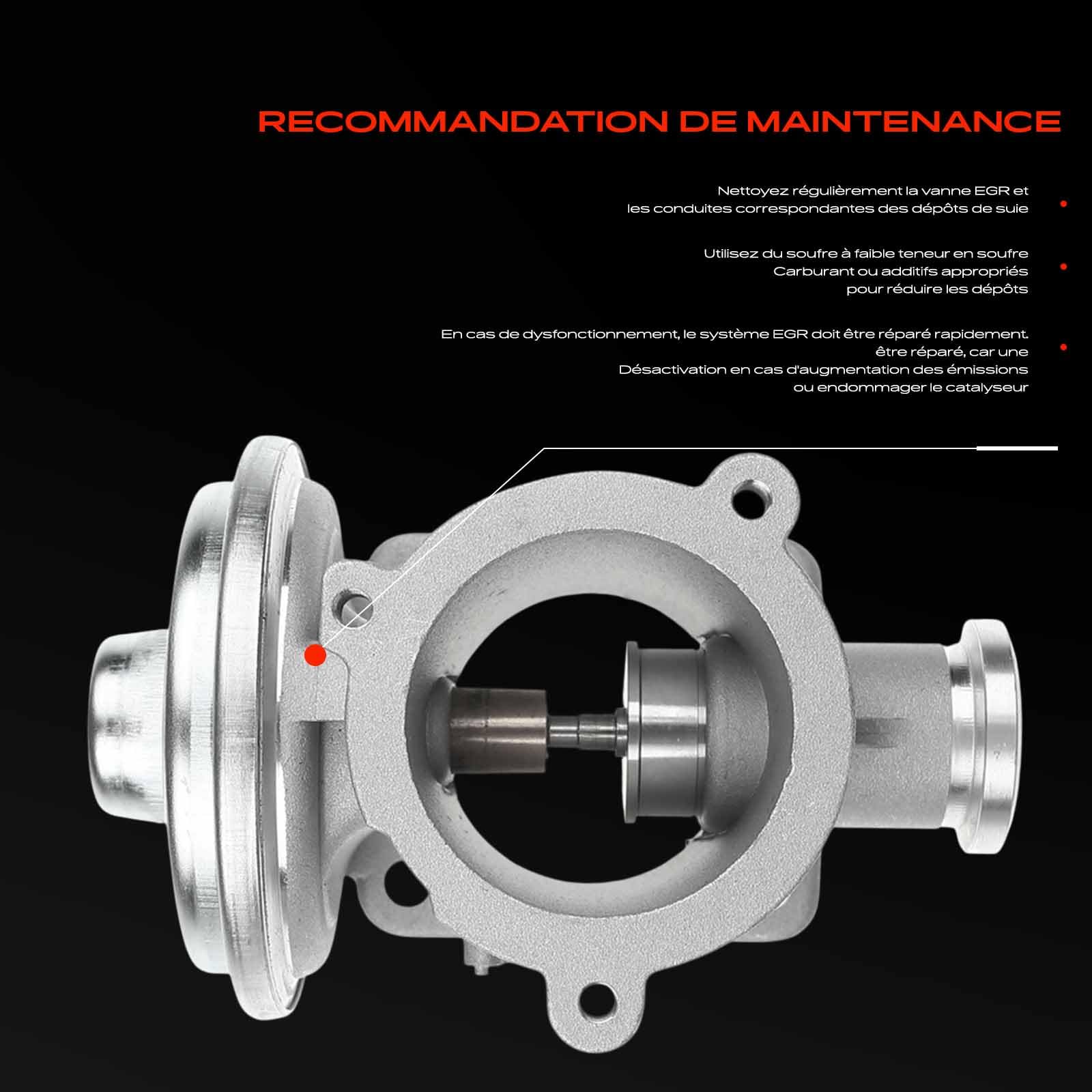 Frankberg Refroidisseur de vanne EGR pour recirculation des gaz