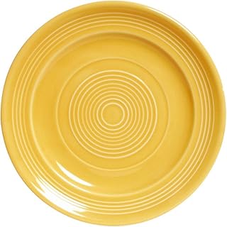 Tuxton CSA-104 Vitrified China Concentrix Plate, 10-1/2