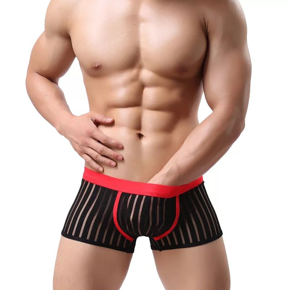 Yeke Men's Sexy Mesh Breathable Briefs Underwear Soft Shorts Underpants 4Pcs/Set