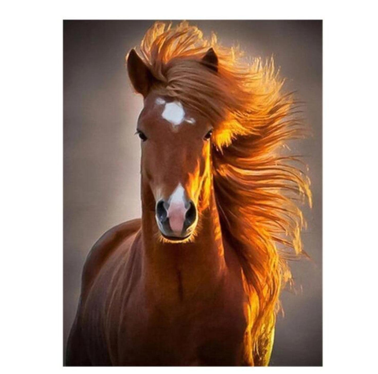 CUKOL CUKOL CANEVAS Broderie Point De Croix Kit Complet Adulte Debutant Compt... EUR 26,06