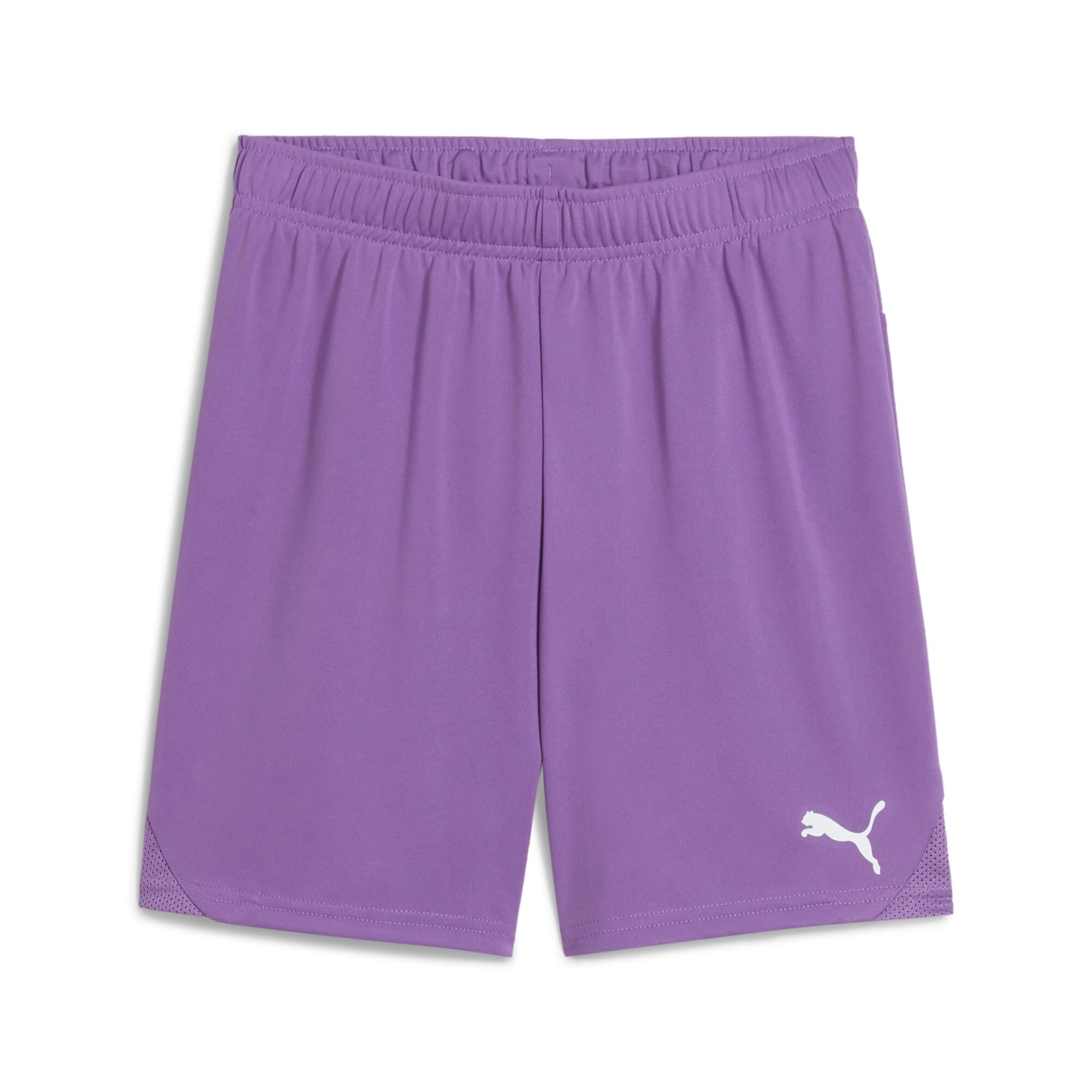 PUMA teamGOAL Shorts Jr