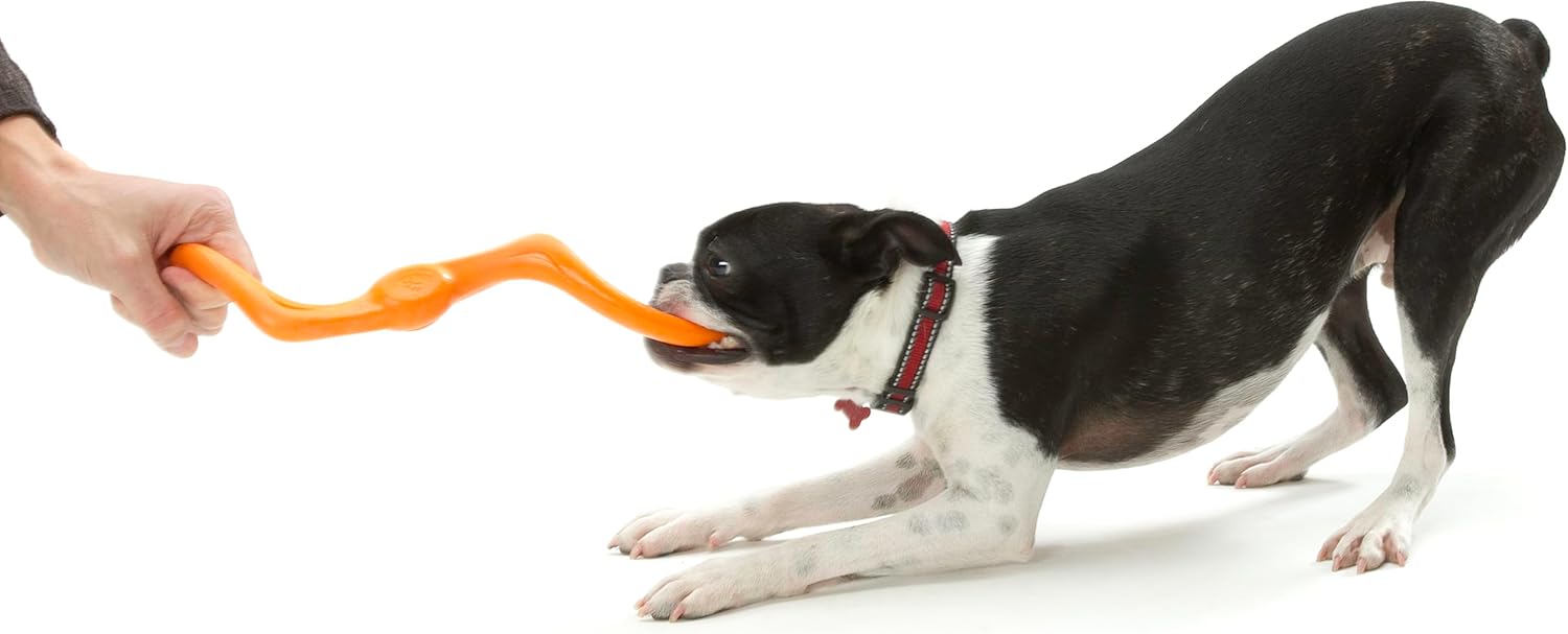 West Paw Zogoflex Bumi Dog Tug Toy – S-Shaped, Lightweight Chew Toys for Fetch, Play, Pet Exercise – Tug of War Soft Flinging Squishy Chewy Toy for Dogs – Guaranteed, Latex-Free, Large 9.5", Tangerine