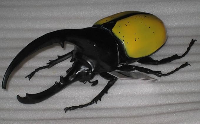 Amazon ヘラクレスオオカブト Megaフィギュア プライズ リード フィギュア ドール 通販