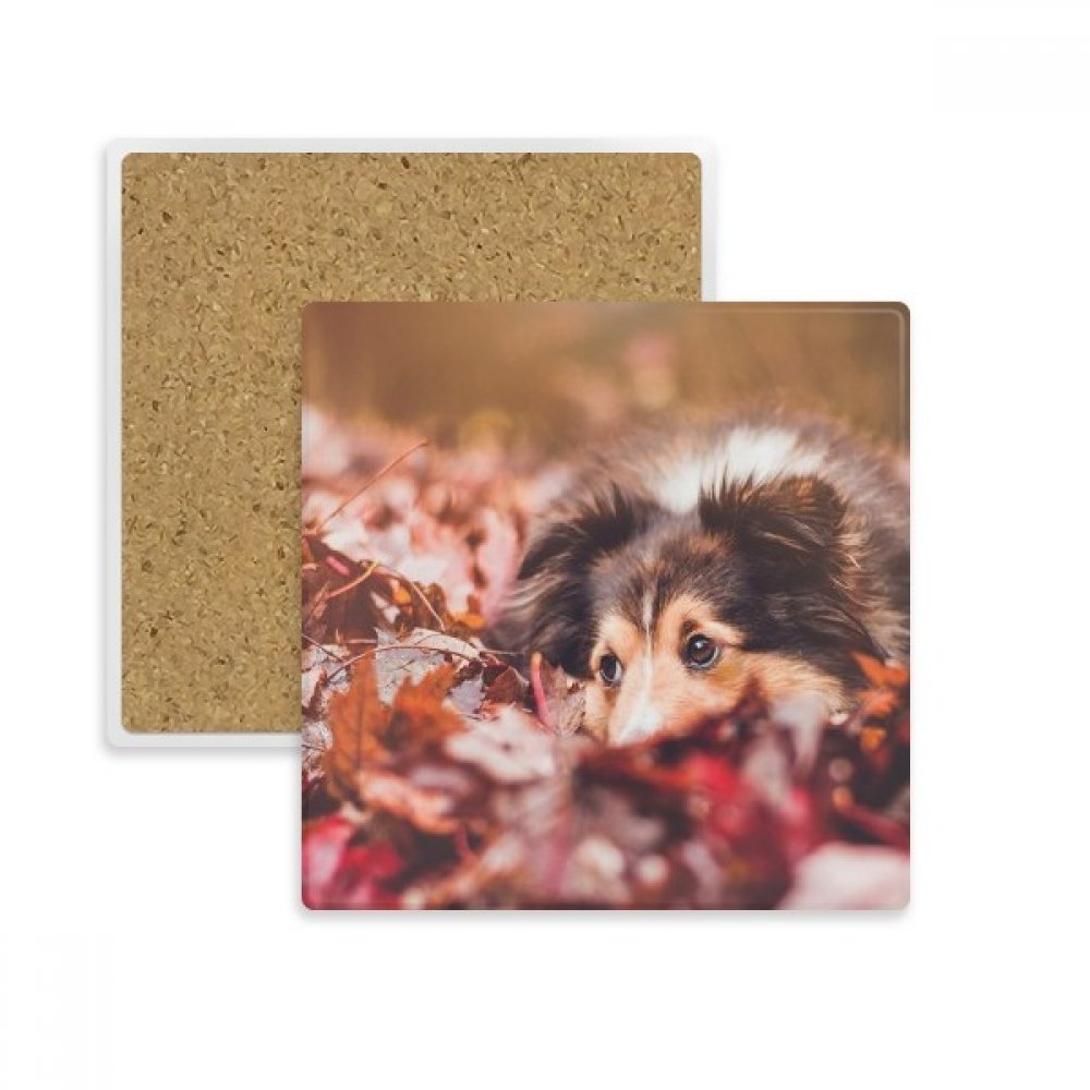 Porte-gobelet et dessous de tasse en pierre poreuse absorbante imprimé chien