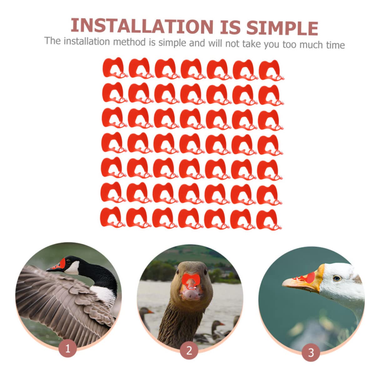 BESTonZON 2 Set Occhiali Beccata Per Pollame Occhiali Per E Protezione Per Piumaggio E Uova Riutilizzabili Forniture Agricole Per Allevatori Pollame 100 Pezzi*2