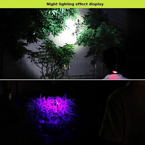 Miniatura 7 de Linterna frontal UV recargable, luz ultravioleta LED, luz negra, 395 nm, linterna de cabeza zoomable para pesca nocturna, caza de escorpiones, fugas