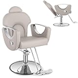 Barber Salon Chair for Hair Stylist Beauty Reclining Salon Chair 360 Degrees Swivel Adjustable Height Styling Armchair for Spa Home Barbershop Shampoo (Grey&Sliver)